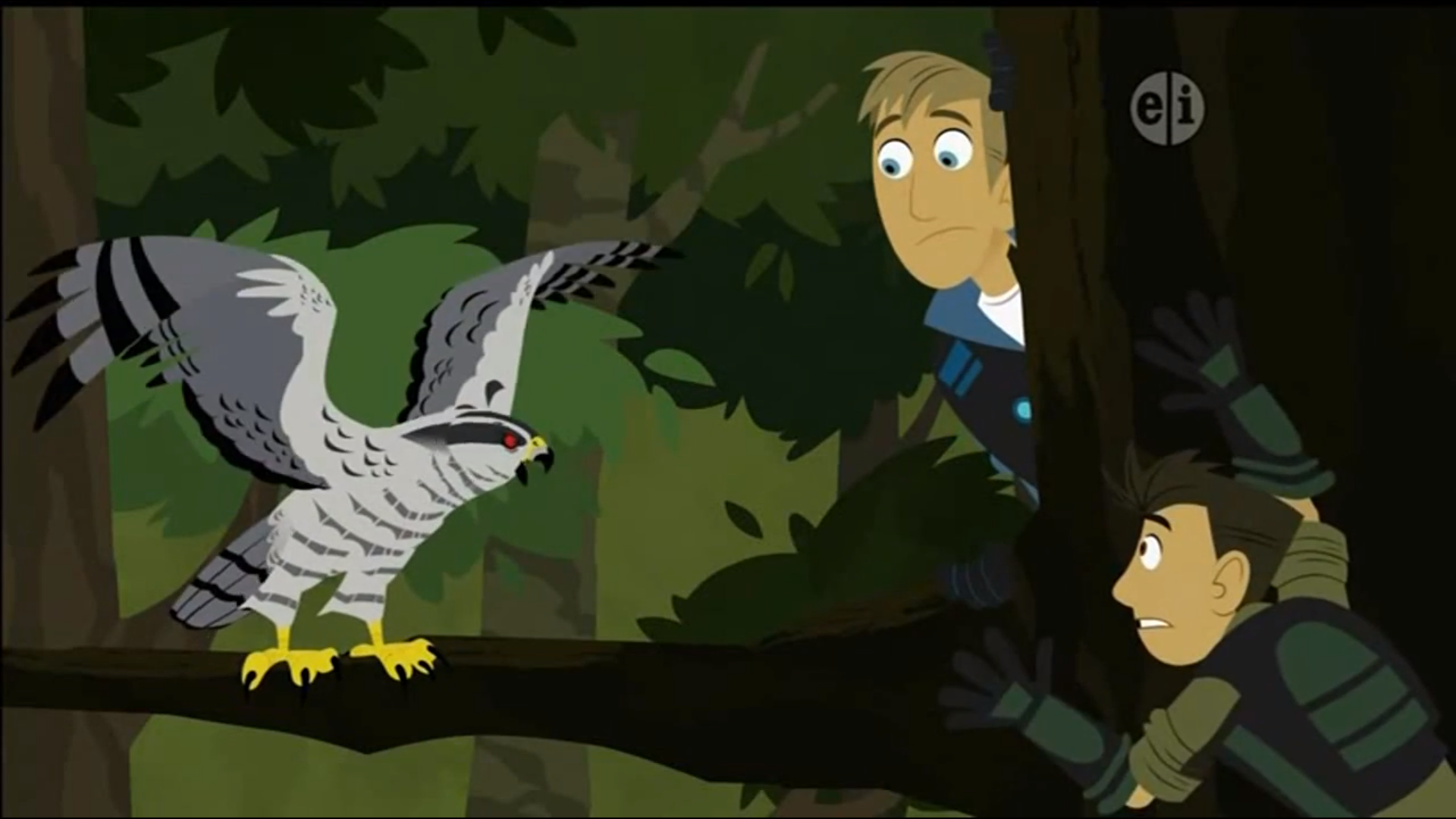 Image - Bros and Hawk.png | Wild Kratts Wiki | FANDOM powered by Wikia