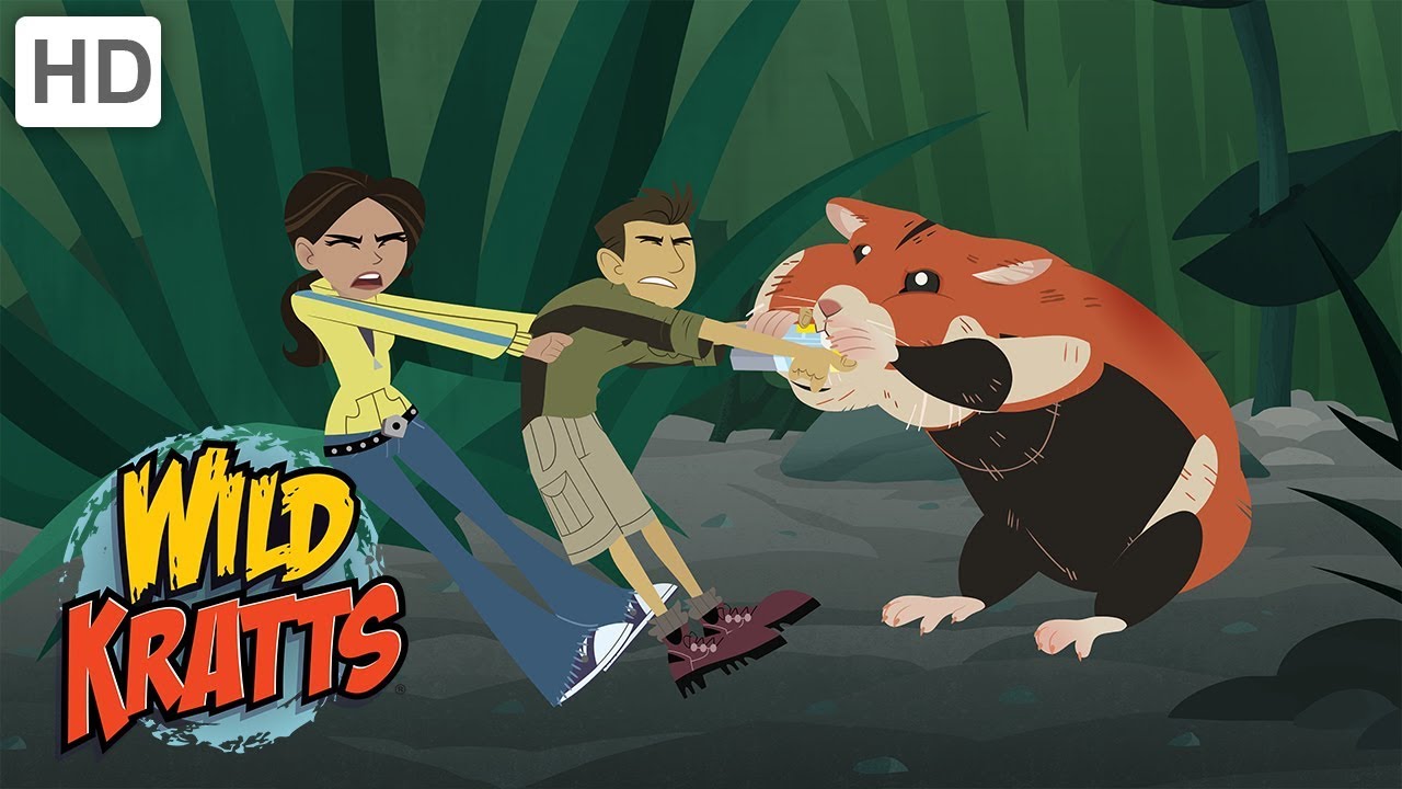 Image Wild Kratts Hamster Wild Kratts Wiki Fandom Powered By Wikia 3867