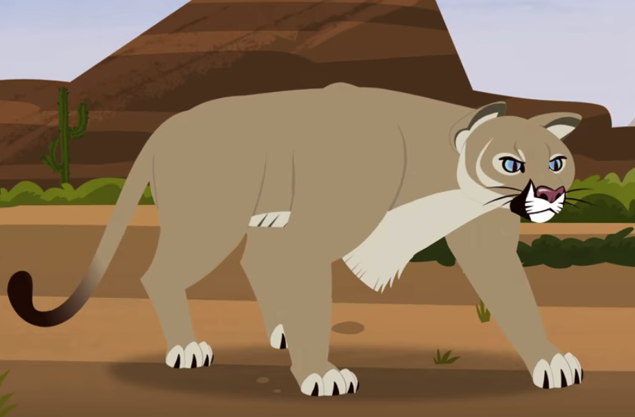 Cougar | Wild Kratts Wiki | Fandom