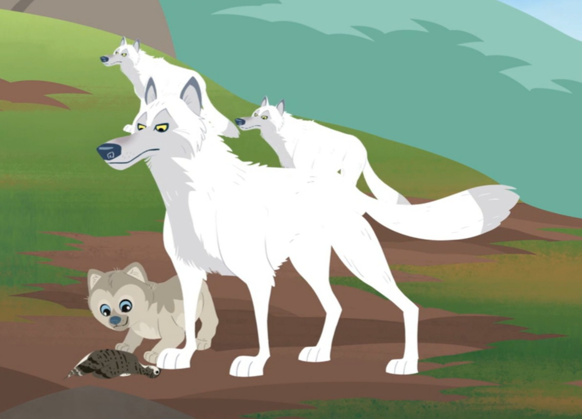 Image - Arctic Wolf.png | Wild Kratts Wiki | FANDOM powered by Wikia