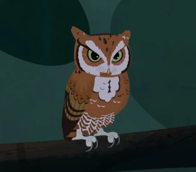 Eastern Screech Owl | Wild Kratts Wiki | Fandom