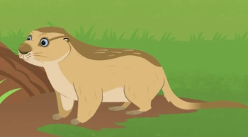 Black-tailed Prairie Dog | Wild Kratts Wiki | Fandom
