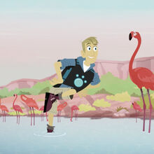 Mystery Of The Flamingo S Pink Gallery Wild Kratts Wiki Fandom