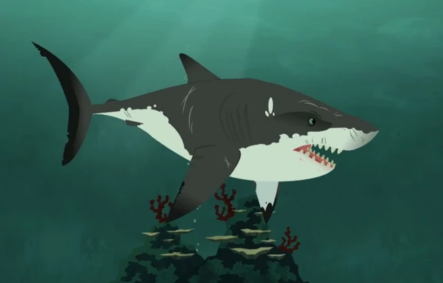 Image - Great White Shark-Wild Kratts.PNG | Wild Kratts Wiki | FANDOM