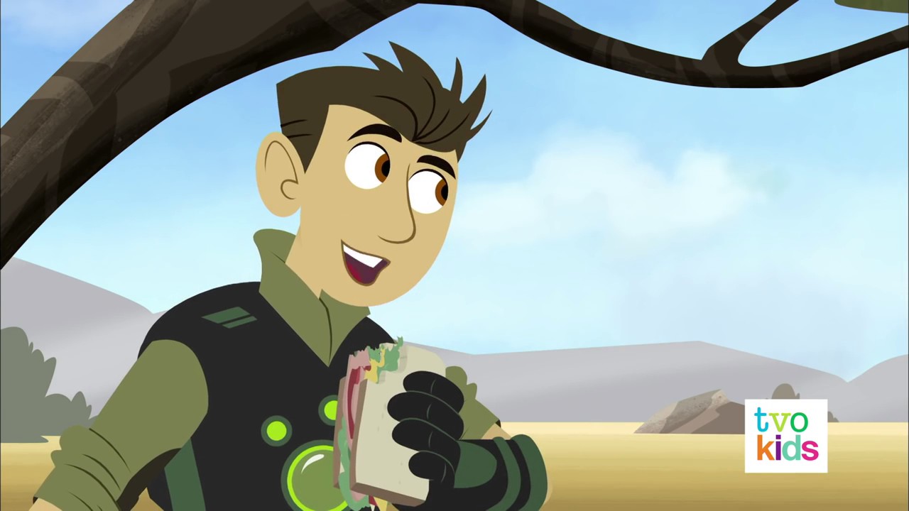 Cheetah Adopted/Gallery | Wild Kratts Wiki | Fandom