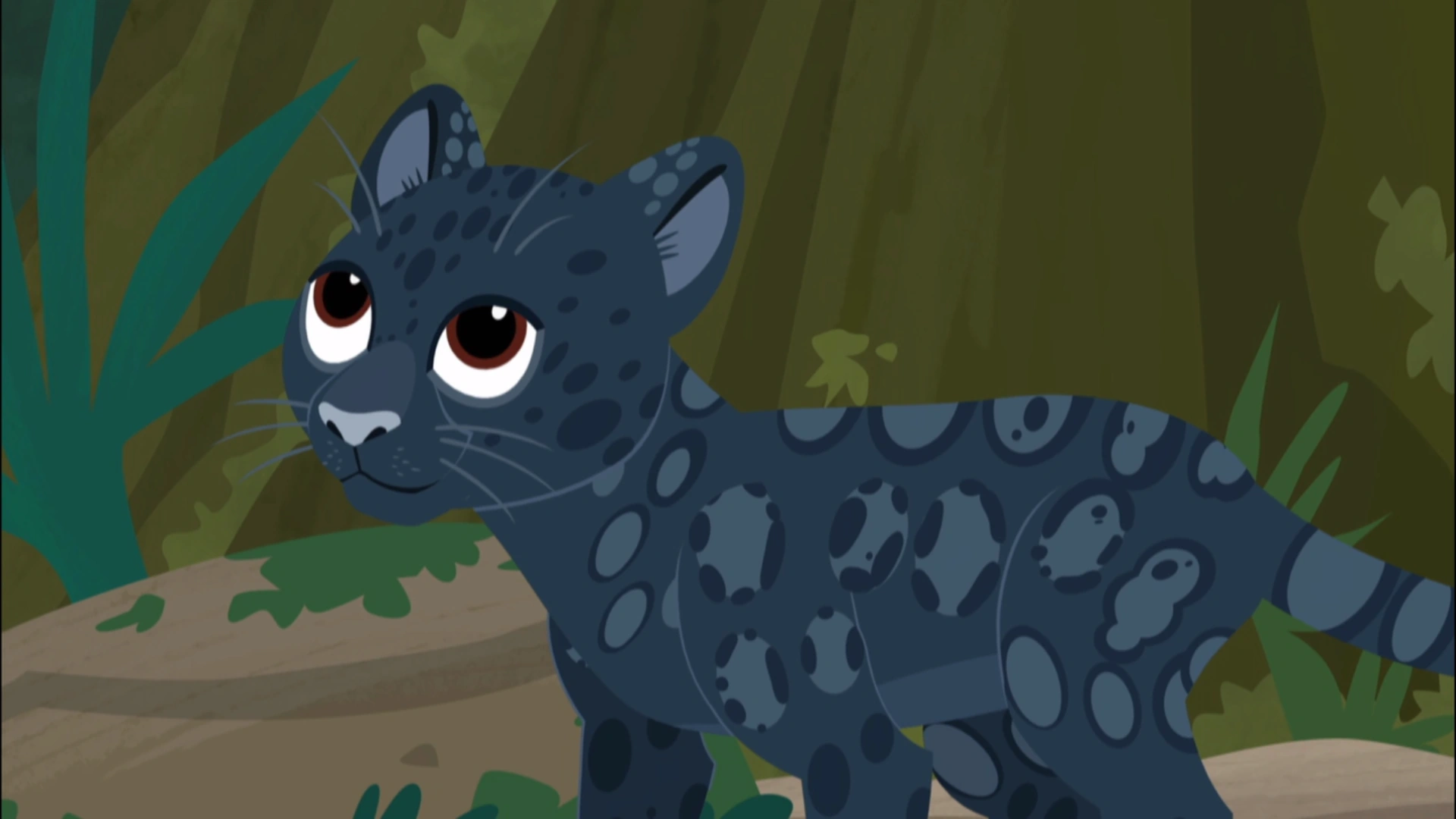 Shadow | Wild Kratts Wiki | FANDOM powered by Wikia