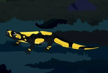 Fire Salamander | Wild Kratts Wiki | Fandom