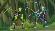 Golden Orb Weaver Spider Power | Wild Kratts Wiki | FANDOM powered by Wikia