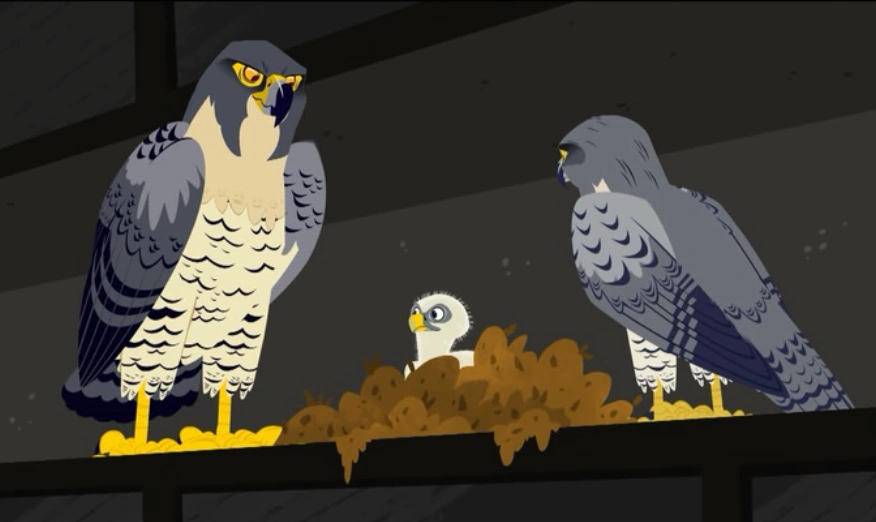 Falcon City | Wild Kratts Wiki | FANDOM powered by Wikia
