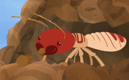 Macrotermes Termite.png (1.76 MB) Macrotermes Termite