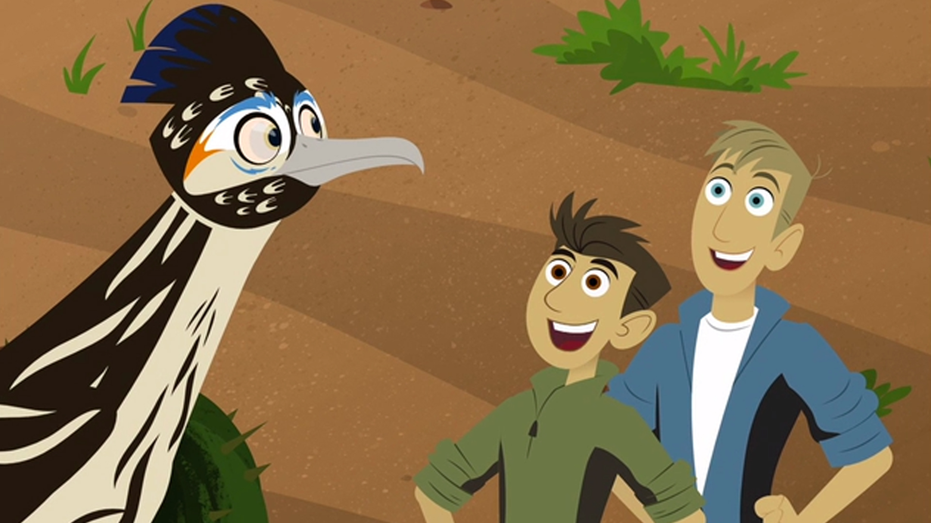 Roadrunner | Wild Kratts Wiki | Fandom