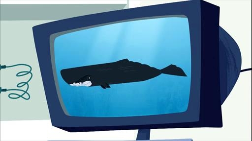 Whale of a Squid | Wild Kratts Wiki | FANDOM powered by Wikia