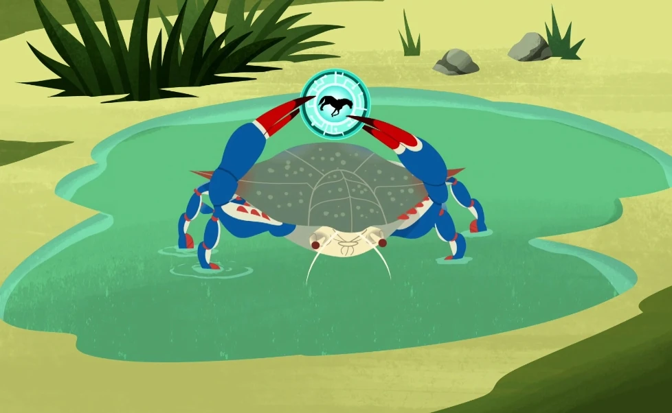 Wild Pony Power | Wild Kratts Wiki | FANDOM powered by Wikia