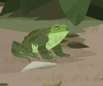 Green Pond Frog | Wild Kratts Wiki | Fandom