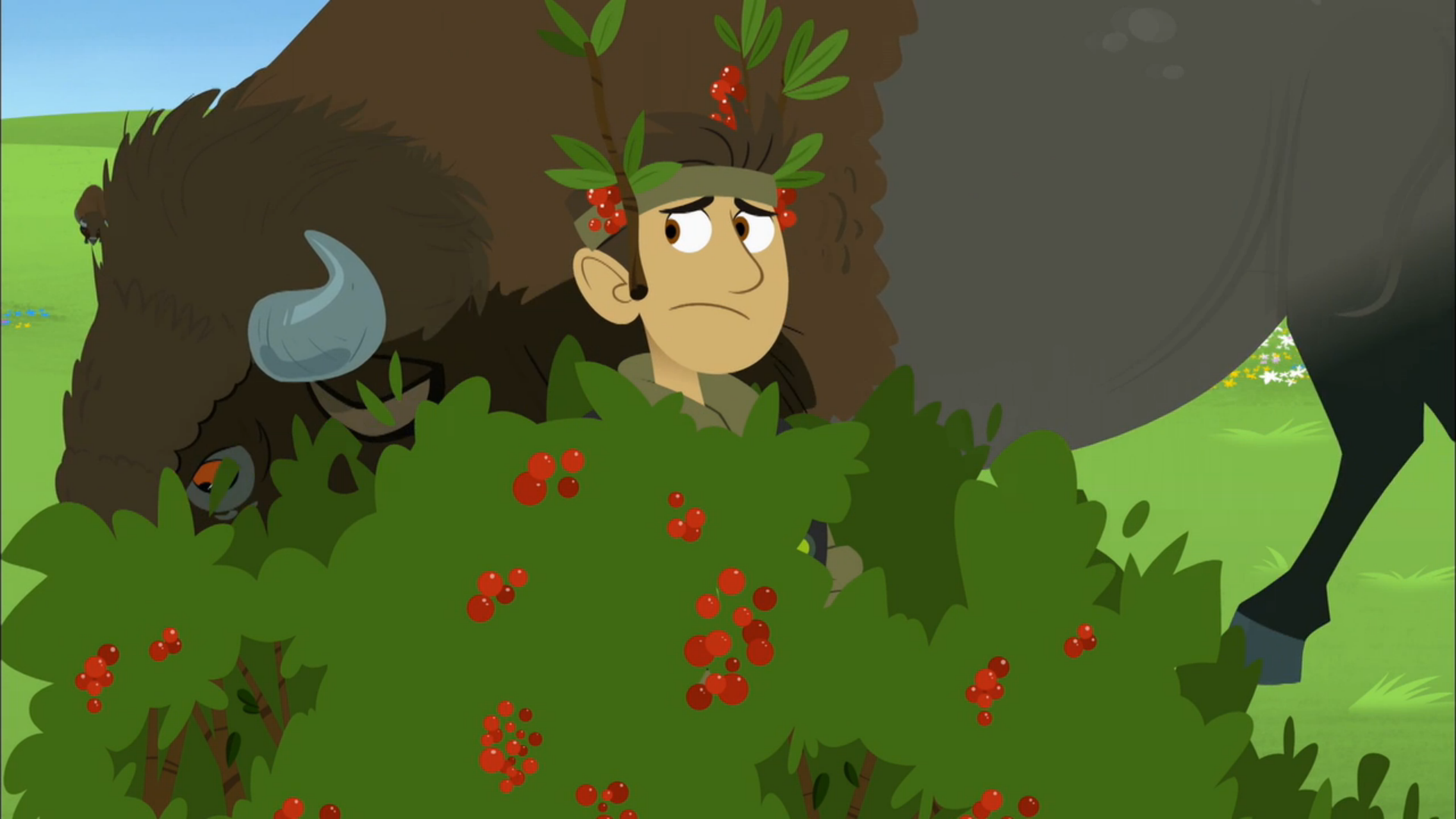 wild kratts wild kratts