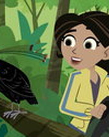 Birds Of A Feather Wild Kratts Wiki Fandom