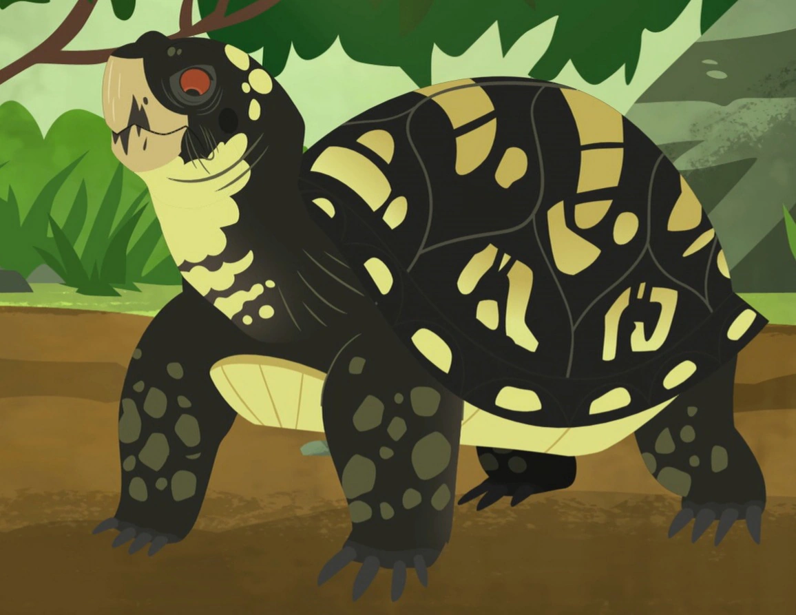 Caja Wild Kratts Wiki FANDOM powered by Wikia