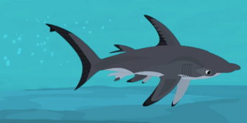 Great Hammerhead | Wild Kratts Wiki | Fandom