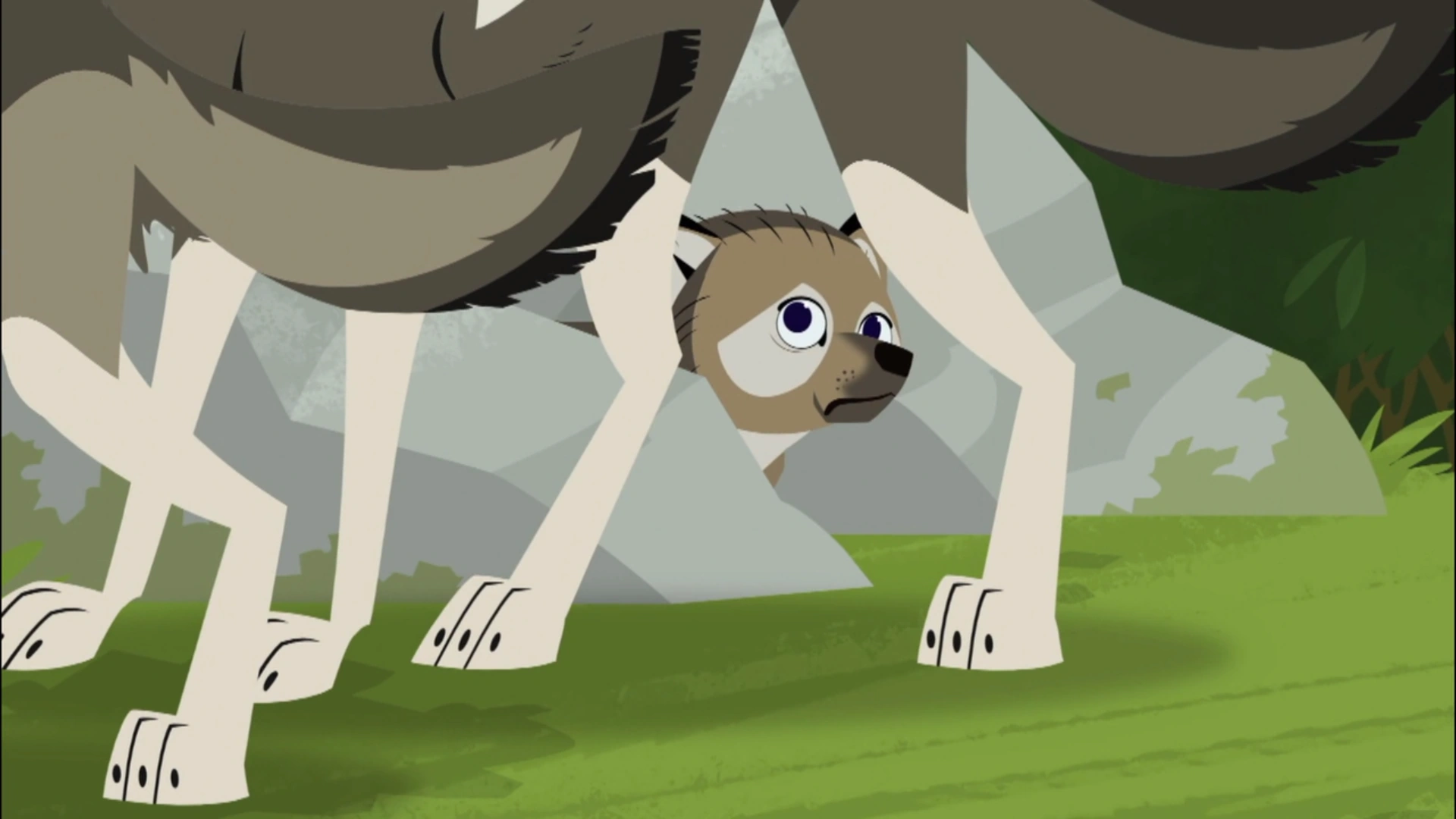 Image - Little Howler Scared.png | Wild Kratts Wiki | FANDOM powered by