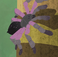 Tree Tarantula.png (2.68 MB) Tree Tarantula