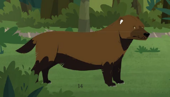 Bush Dog | Wild Kratts Wiki | Fandom