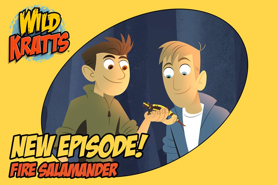 Fire Salamander (episode) | Wild Kratts Wiki | FANDOM powered by Wikia