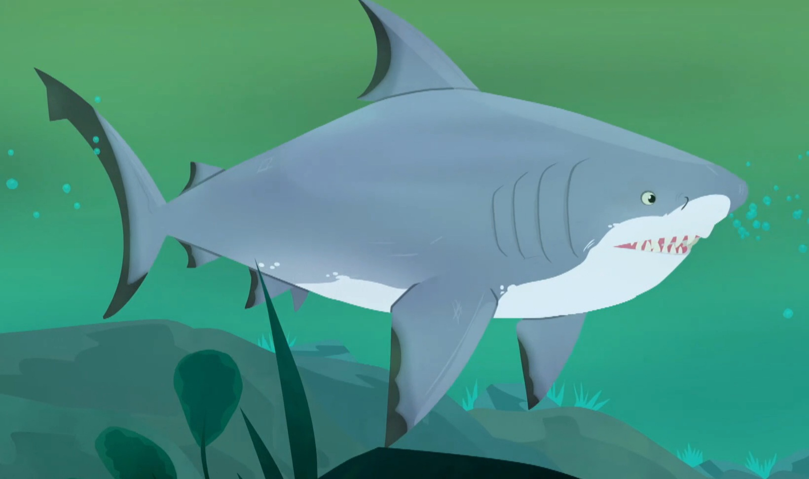 Bull Shark | Wild Kratts Wiki | FANDOM powered by Wikia
