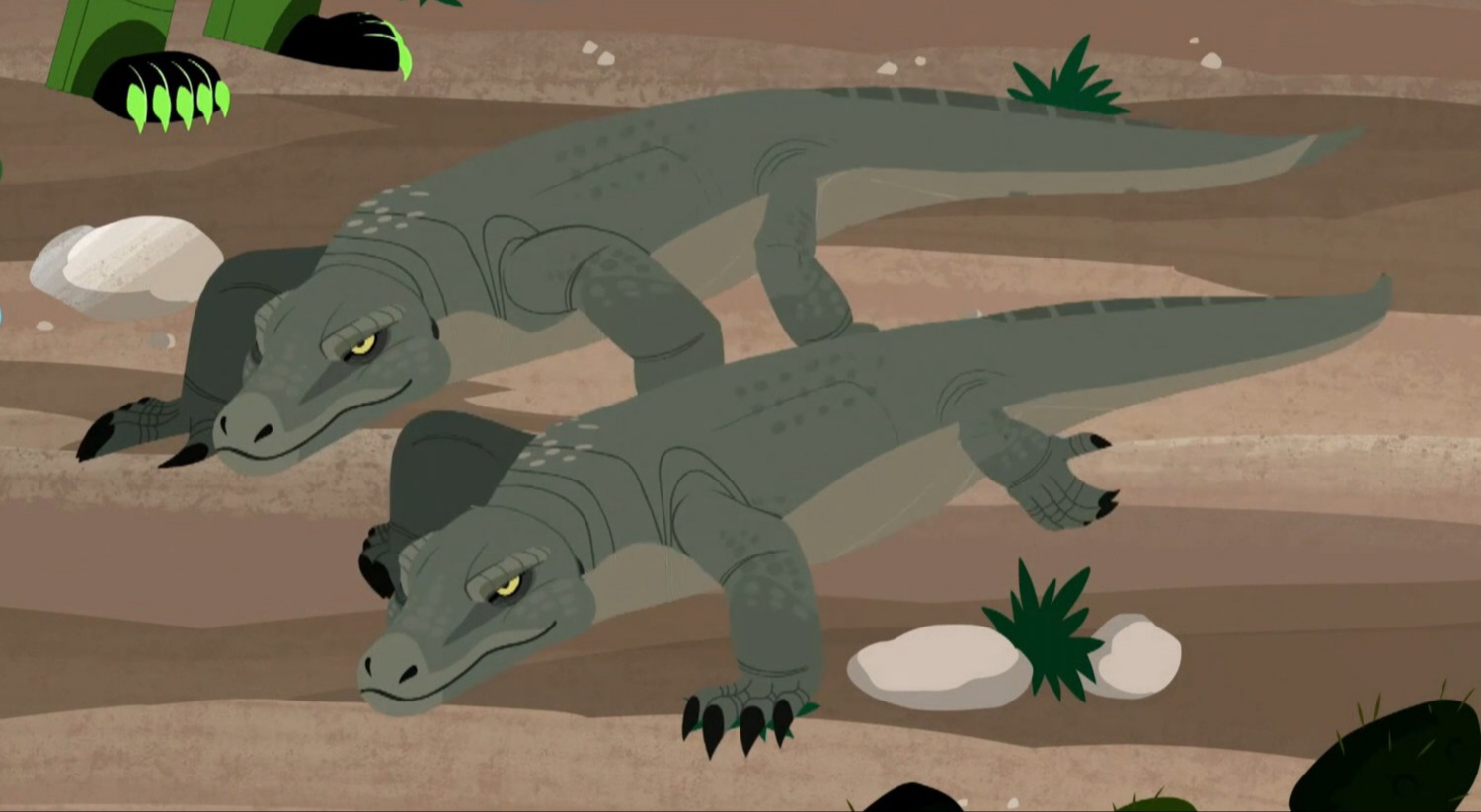 Image - Komodo Dragon.png | Wild Kratts Wiki | FANDOM powered by Wikia