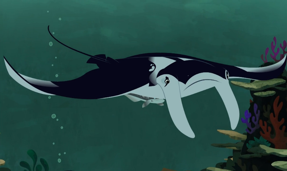 Image - Sharks-Wild Kratts-24.PNG | Wild Kratts Wiki | FANDOM powered