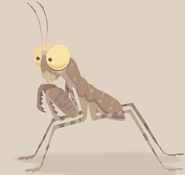 Desert Pebble Praying Mantis.png (96 KB) Desert Pebble Praying Mantis