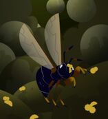 FigWasp.jpg (54 KB) FigWasp