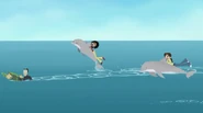 Speaking Dolphinese | Wild Kratts Wiki | FANDOM powered by Wikia