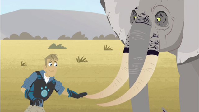 Image - Martin touching Elephant.png | Wild Kratts Wiki | FANDOM