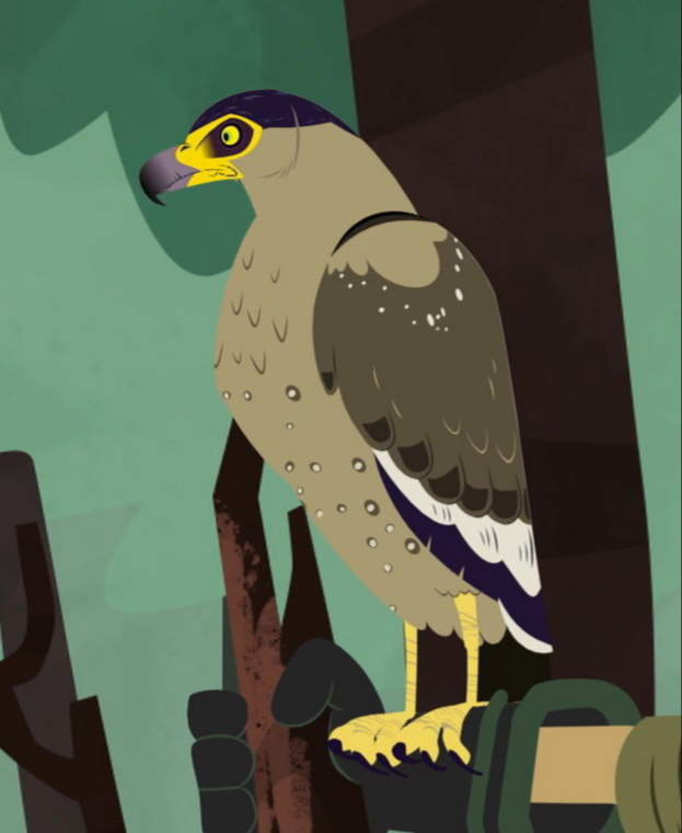 Image - SerpentEagle.jpeg.png | Wild Kratts Wiki | FANDOM powered by Wikia