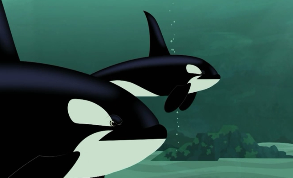 Image - Orca-Killer Whale.Wild Kratts.2.PNG | Wild Kratts Wiki | FANDOM