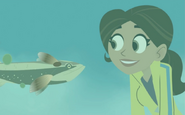 Stuck on Sharks | Wild Kratts Wiki | FANDOM powered by Wikia