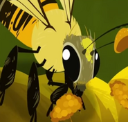 EuropeanHoneybee.jpeg.png (364 KB) EuropeanHoneybee.jpeg