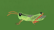 Red-legged Grasshopper.png (231 KB) Red-legged Grasshopper