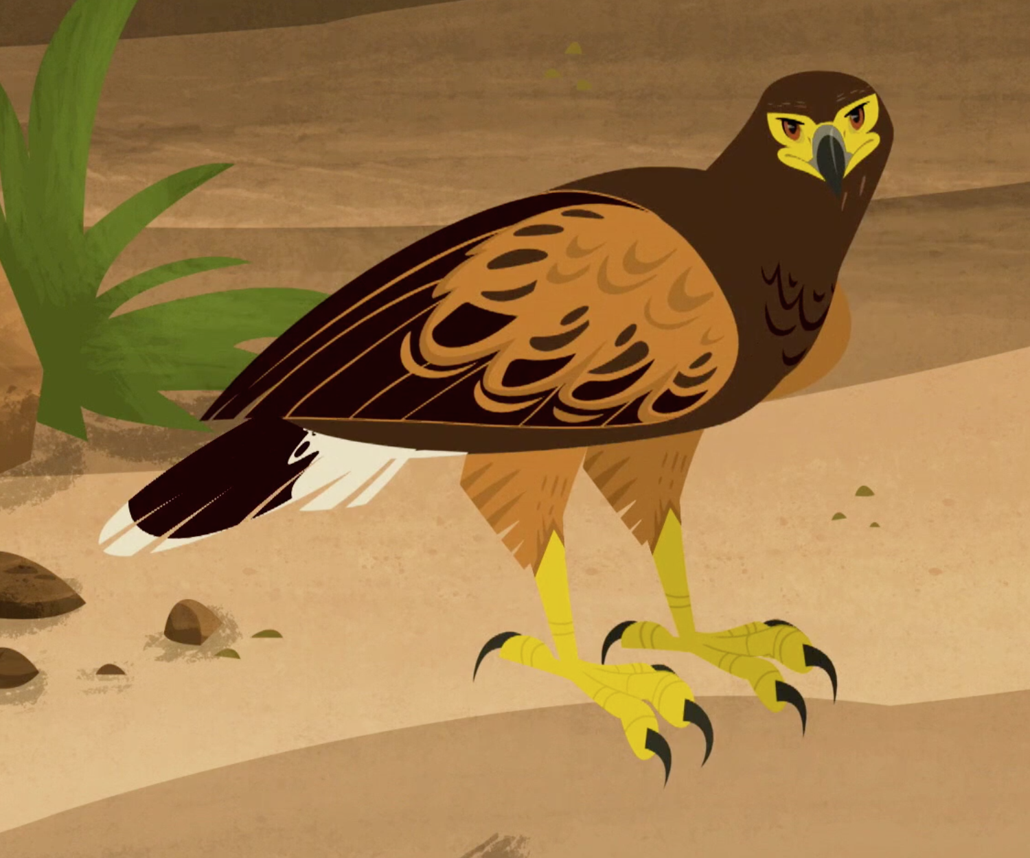 Wolfy | Wild Kratts Wiki | Fandom