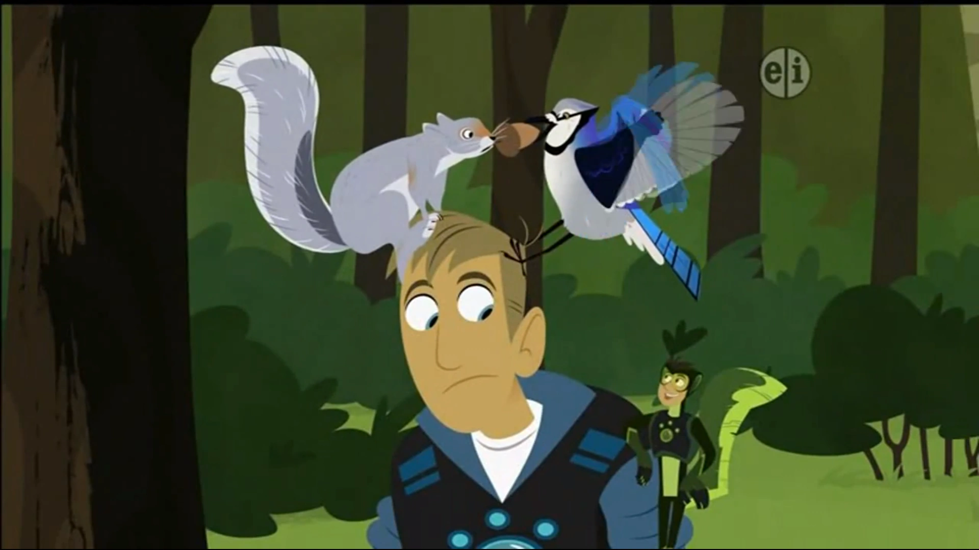 Image - Squirrel Vs Blue Jay on Martin's Head.png | Wild Kratts Wiki