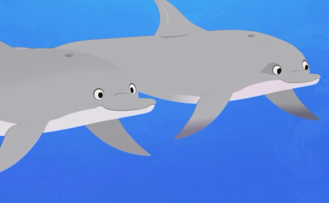 Image - Wild Kratts-dolphin.001.PNG | Wild Kratts Wiki | FANDOM powered