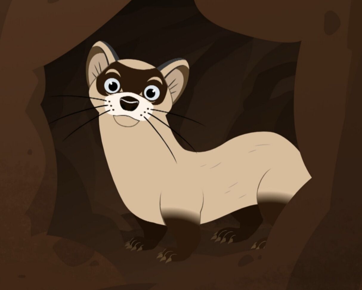 Bandito | Wild Kratts Wiki | FANDOM powered by Wikia