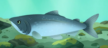 Sockeye Salmon | Wild Kratts Wiki | Fandom