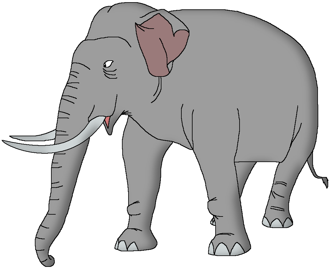 Indian Elephant | Wildlife Animal Pedia Wiki | Fandom