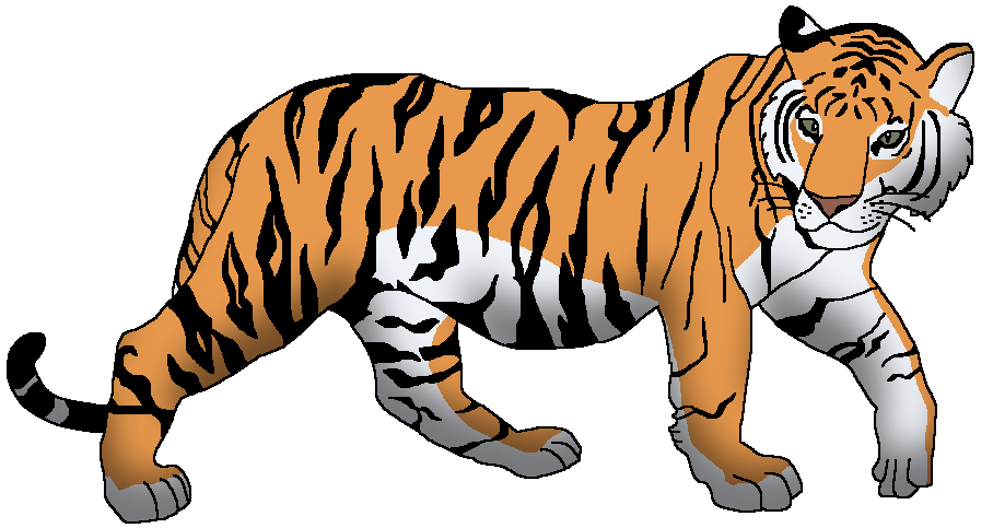 Bengal Tiger | Wildlife Animal Pedia Wiki | Fandom