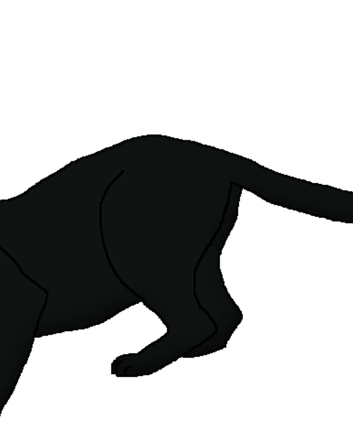 Ekstenzivno napor Direktno puma animal black jumping png