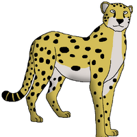 Tanzanian Cheetah Wildlife Animal Pedia Wiki Fandom