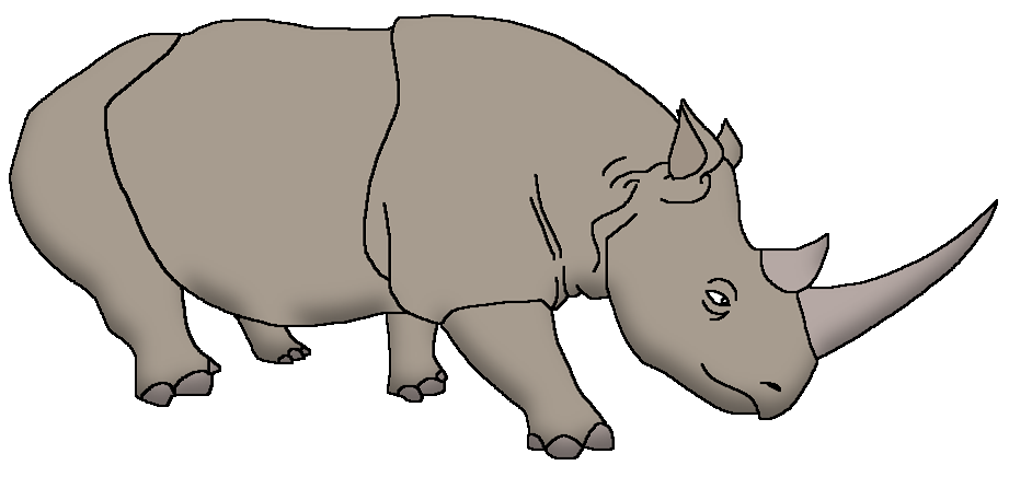 western black rhinoceros scientific name