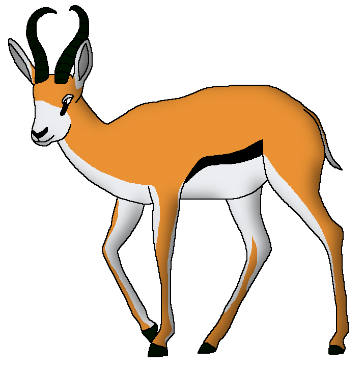 Springbok | Wildlife Animal Pedia Wiki | Fandom