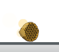 Baby Beehive1